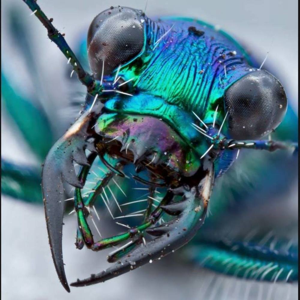 Meet your Posher, Pam